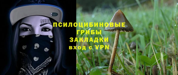 марки lsd Бугульма